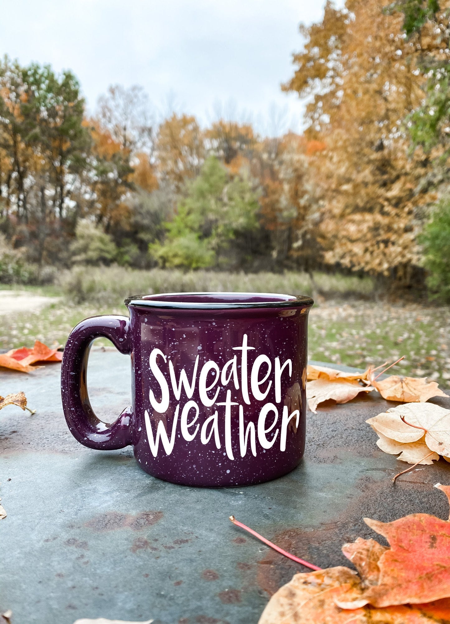 Sweater Weather Campfire Mug