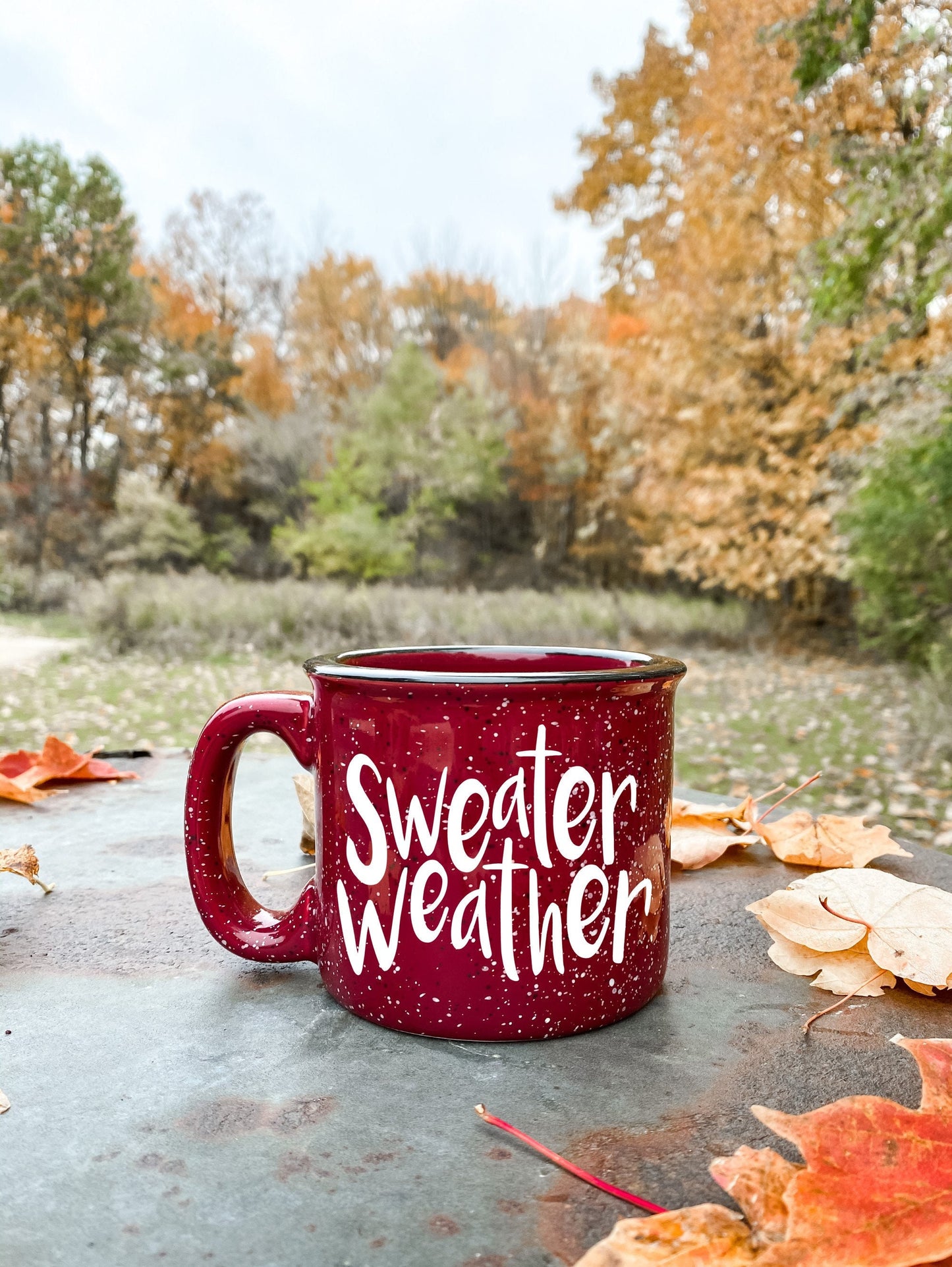 Sweater Weather Campfire Mug