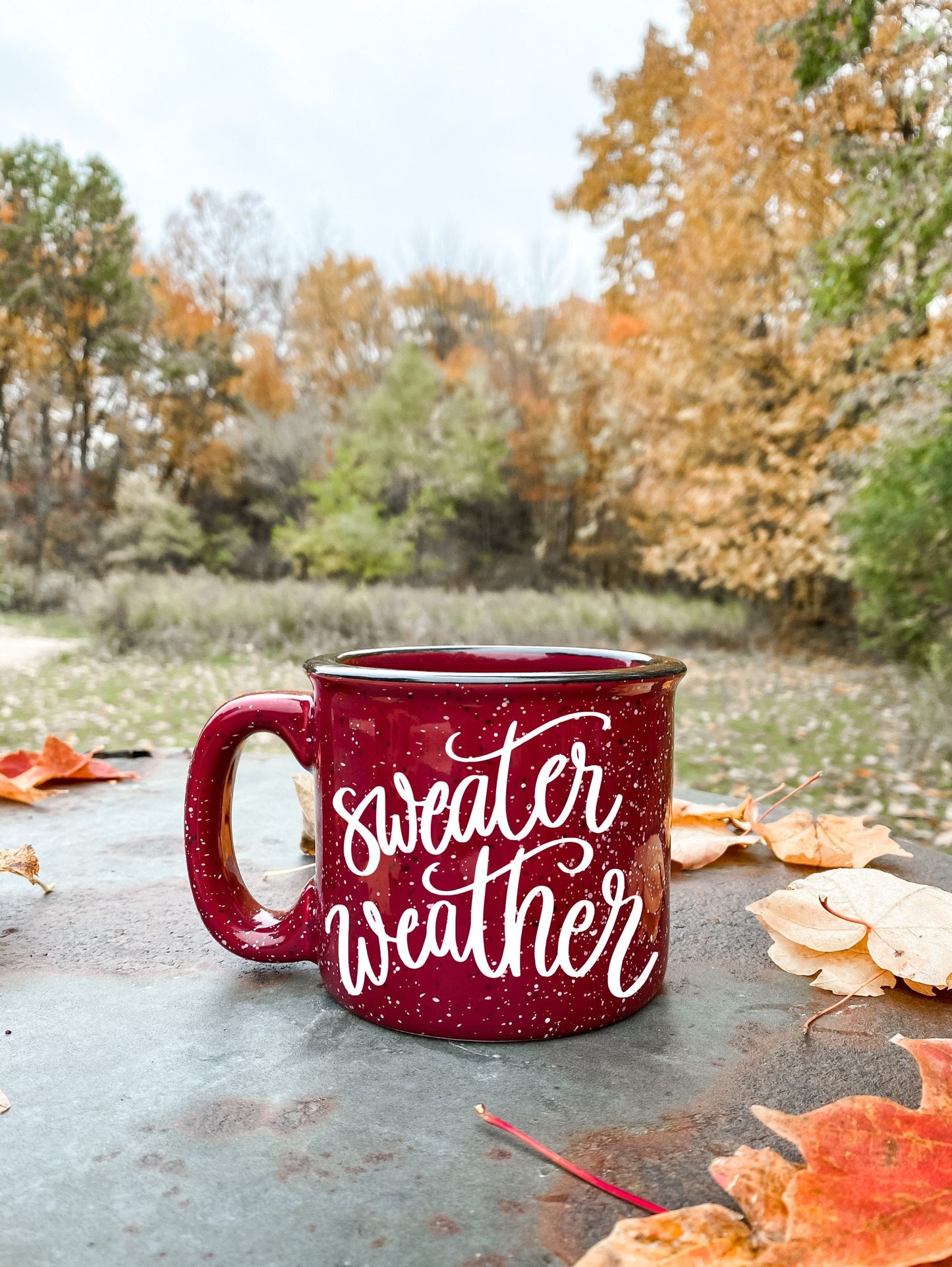 Sweater Weather Campfire Mug